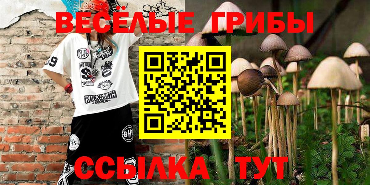 Псилоцибиновые грибы мицелий Осинники