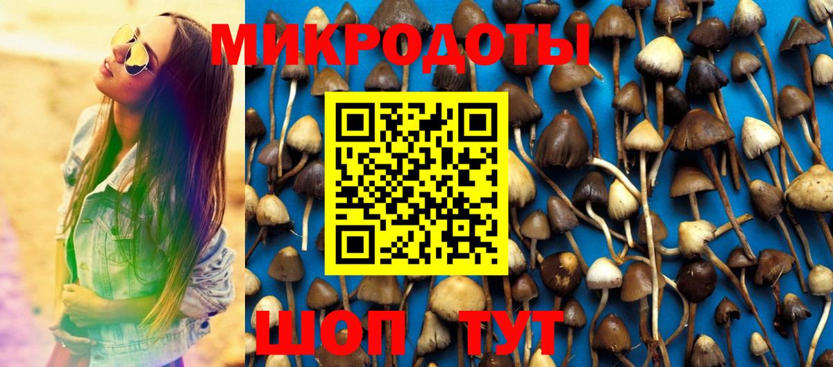 Галлюциногенные грибы прущие грибы  закладки  Осинники  Вход с VPN 