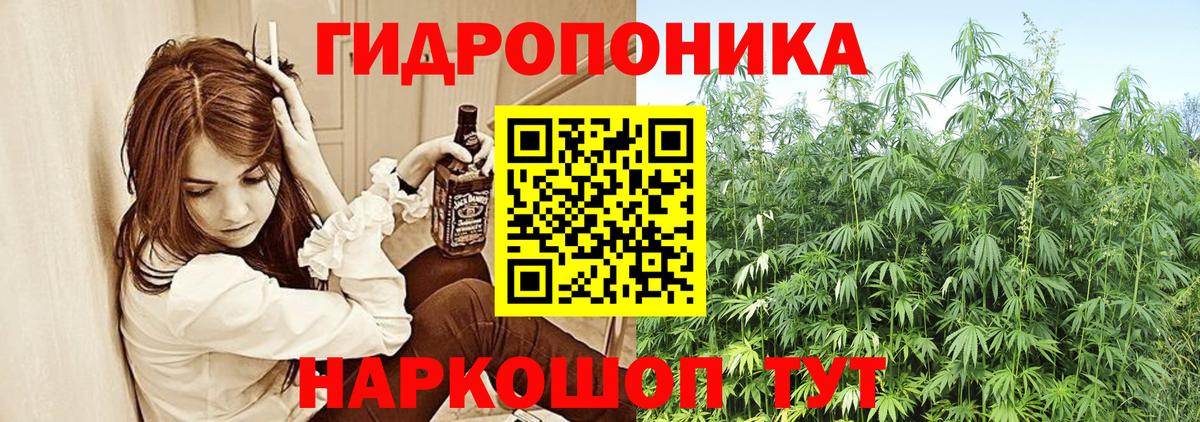Осинники  Шишки марихуана план  Канабис сатива  Вход с VPN 